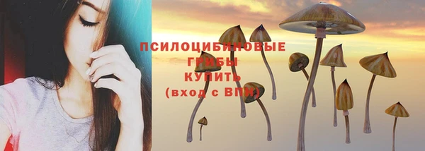 трава Балабаново