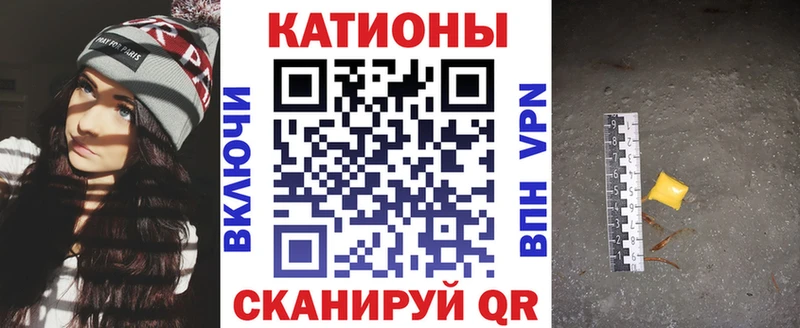 МЯУ-МЯУ мяу мяу  Севск 